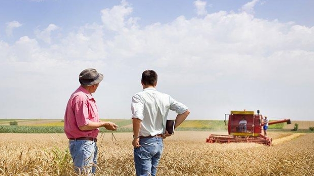 МХП і «Баришівська зернова компанія» продукують екологічне «рейдерство» на Київщині? МХП і «Баришівська зернова компанія» продукують екологічне «рейдерство» на Київщині?